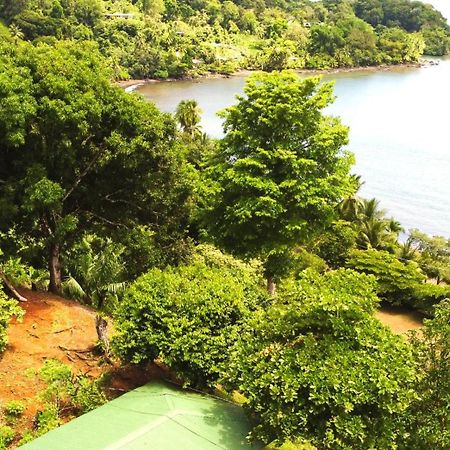 Cabana Ara Macao Lodge Drakes Bay 外观 照片